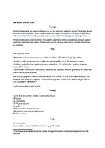 Konspekts 'Muitas auditu salīdzinājums dažādās Eiropas Savienības valstīs. Francija un Īrij', 2.