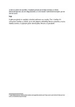 Konspekts 'Muitas auditu salīdzinājums dažādās Eiropas Savienības valstīs. Francija un Īrij', 4.