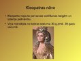Prezentācija 'Kleopatra VII', 6.