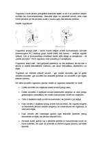 Referāts 'Vaginisms', 3.