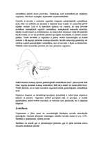 Referāts 'Vaginisms', 9.