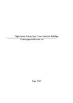 Eseja 'Diplomatic Immunity from Criminal Liability', 1.