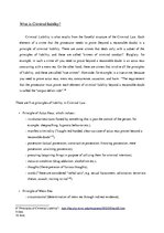 Eseja 'Diplomatic Immunity from Criminal Liability', 8.