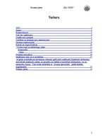 Biznesa plāns 'Dizaina aģentūra', 2.