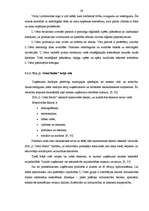 Diplomdarbs 'SIA "L`Oréal Baltic" komunikācija ar patērētājiem un pārdošanas veicināšanas pas', 29.