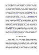 Referāts 'Televīzijas reklāmu ietekme uz patērētāju', 7.