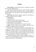 Referāts 'Televīzijas reklāmu ietekme uz patērētāju', 28.