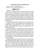 Prakses atskaite 'Prakses darba atskaite Southwestern kompānijā', 3.