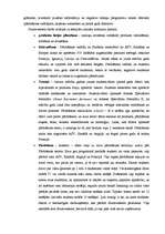 Prakses atskaite 'Prakses darba atskaite Southwestern kompānijā', 4.