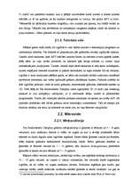 Prakses atskaite 'Prakses darba atskaite Southwestern kompānijā', 8.