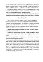 Prakses atskaite 'Prakses darba atskaite Southwestern kompānijā', 9.