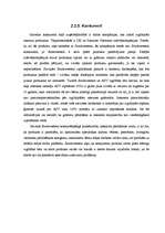 Prakses atskaite 'Prakses darba atskaite Southwestern kompānijā', 11.