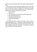 Prakses atskaite 'Prakses darba atskaite Southwestern kompānijā', 14.