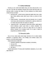 Prakses atskaite 'Prakses darba atskaite Southwestern kompānijā', 22.