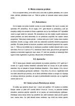 Prakses atskaite 'Prakses darba atskaite Southwestern kompānijā', 26.