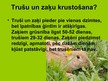 Prezentācija 'Trušu selekcija Latvijā', 3.