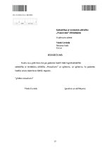 Paraugs 'SIA reģistrēšanas dokumenti', 17.