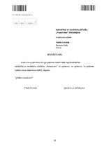 Paraugs 'SIA reģistrēšanas dokumenti', 18.