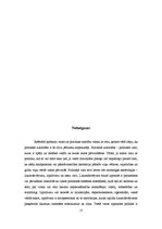 Referāts 'Vara un politika', 17.