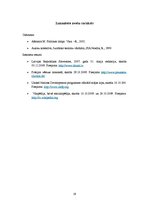 Referāts 'Vara un politika', 19.