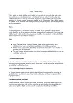 Eseja 'Dzīves mirkļi', 1.