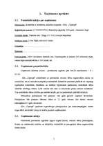 Biznesa plāns 'Biznesa plāns privātajam bērnudārzam', 5.