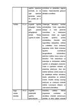 Biznesa plāns 'Biznesa plāns privātajam bērnudārzam', 11.