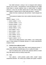 Biznesa plāns 'Biznesa plāns privātajam bērnudārzam', 15.