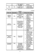 Biznesa plāns 'Biznesa plāns privātajam bērnudārzam', 38.