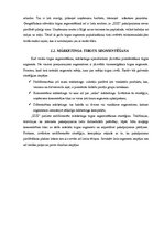 Konspekts 'Produkta dzīves cikls', 6.