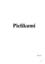 Referāts 'Uzticības personas kā alternatīva bērnu namam', 32.