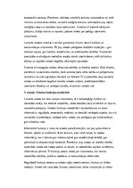 Konspekts 'Latviešu valoda: struktūra, vēsture un nozīme mūsdienu sabiedrībā', 7.