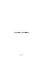 Referāts 'Siguldas Jaunā Pils', 1.