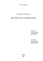 Referāts 'Sporta bridža ietekme uz spēlētāja personību', 1.