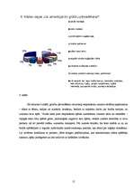 Referāts 'Sporta bridža ietekme uz spēlētāja personību', 12.