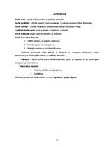 Referāts 'Sporta bridža ietekme uz spēlētāja personību', 22.