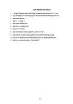 Referāts 'Sporta bridža ietekme uz spēlētāja personību', 24.