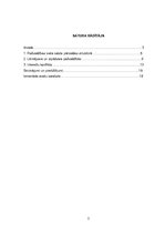 Referāts 'Interešu konflikts', 2.