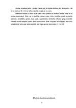 Referāts 'Baltā krāsa Ārijas Elksnes, Skaidrītes Kaldupes un Vizmas Belševicas dzejoļu krā', 31.