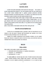 Referāts 'Latviešu, igauņu un irāņu salīdzinājums', 3.