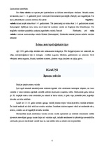 Referāts 'Latviešu, igauņu un irāņu salīdzinājums', 4.