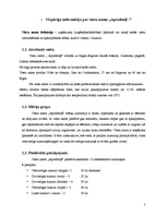 Biznesa plāns 'Viesu nama "Apvedceļš" dokumentācija', 5.