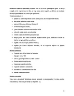 Biznesa plāns 'Viesu nama "Apvedceļš" dokumentācija', 15.