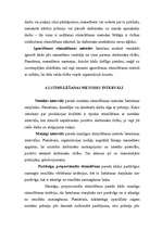 Referāts 'Motivācijas veidošana', 15.