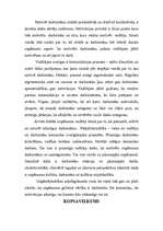 Referāts 'Motivācijas veidošana', 20.