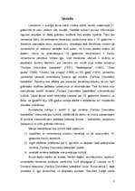 Referāts 'Viktora Igo romāna "Parīzes Dievmātes katedrāle" interpretācijas kultūrā', 2.