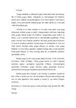 Eseja 'Sociālās grupas, to klasifikācija', 2.