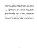 Diplomdarbs 'Meklēšanas rezultātu precizitāte bibliotēku katalogos', 89.