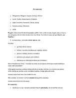 Konspekts 'Pirmssokrātiķi un pēcsokrātiķi', 1.