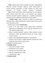 Konspekts 'Stratēģiskā vadīšana', 4.